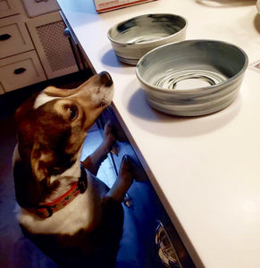 Pet Dog Cat Bunny Bowls